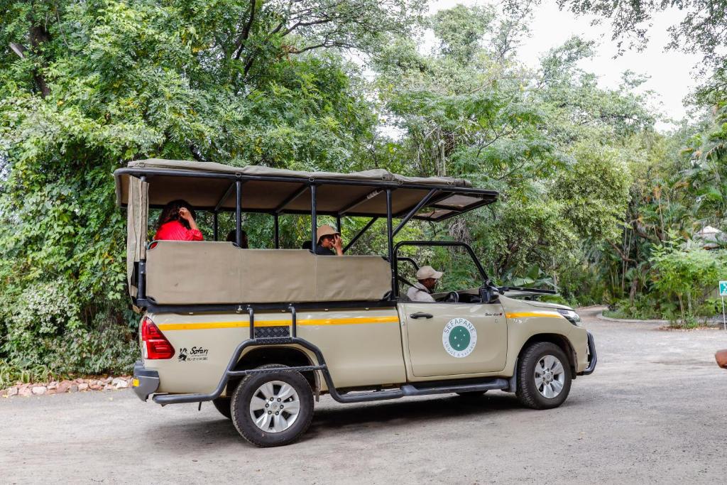 Kruger Safari